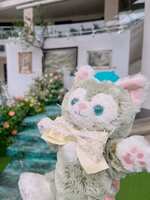 https://images.plurk.com/7BKOC1qVAmysWmfa3OGLj5.jpg