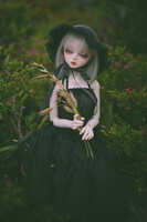 https://images.plurk.com/7BNdwophsNyGtTuWJ7nzQZ.jpg