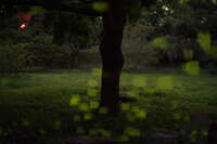 https://images.plurk.com/7BPJqyPw57snzjF5UENnHh.jpg