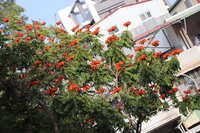 https://images.plurk.com/7BPnzcYuuvmJKXfHjdskLI.jpg