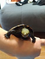https://images.plurk.com/7BZcCj6wFAP4lIH7ZbUj5g.jpg