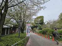 https://images.plurk.com/7BZlSpBPUYIxkxWPJ2T5BK.jpg