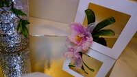 https://images.plurk.com/7BfU5TuVecVYf590sJB1xr.jpg