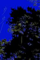 https://images.plurk.com/7Bmgfqxph1LrKXd3FXmoLV.png