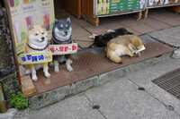 https://images.plurk.com/7BtdbUmtWmjtVFLV3hGIul.jpg
