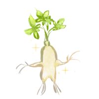 https://images.plurk.com/7BuMbi4ZmmcqLgagEBm9.png