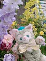 https://images.plurk.com/7BuN9pr3IWrGSCZsmWuAW7.jpg
