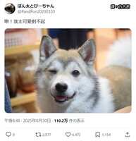 https://images.plurk.com/7C0FFwbONAS3b8WpPwaqNp.jpg