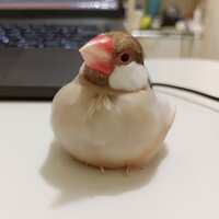 https://images.plurk.com/7C1967Qt3mB0qHX5fzpbpU.jpg