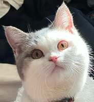 https://images.plurk.com/7C1dvCrrXSFmeRVDxpKgKv.jpg