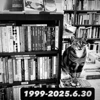https://images.plurk.com/7C9lLwfAMwGoxRj7ywWEgg.jpg