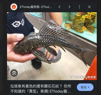 https://images.plurk.com/7C9npf3qQ9UKOzfpX6zuBp.jpg