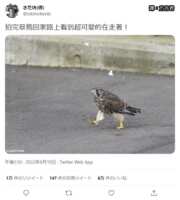 https://images.plurk.com/7CAJ0nvmbyix9w3WmZ58lN.png