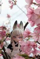 https://images.plurk.com/7CDMTWxihqsnuJhSvk5sCe.jpg