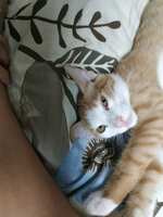 https://images.plurk.com/7CJXVSh7ZMJAAy6d6RF4Gf.jpg
