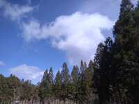 https://images.plurk.com/7COdN4H8yFnnQ0LHpdfS4T.jpg