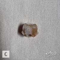 https://images.plurk.com/7CZRCBjxQkPRnaCizWv83S.jpg