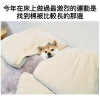 https://images.plurk.com/7CdoANhcwziZYEp5vbe6JK.jpg