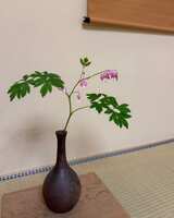https://images.plurk.com/7Cgi3tDdbH7Oc1bn24P284.jpg