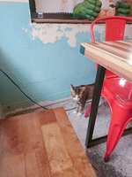 https://images.plurk.com/7CjaTn6idkgI83WGRoIaY.jpg