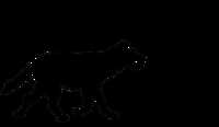 https://images.plurk.com/7Csdyi6EqthhzXcTwqHtjh.png