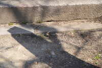 https://images.plurk.com/7CsrjH0amPhhNomwf3KIUc.jpg