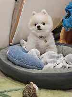 https://images.plurk.com/7CxBs8mbm4IOwjGGEYGxu4.jpg