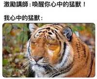 https://images.plurk.com/7D0q1LetaIMkCw6S3WsAzr.jpg