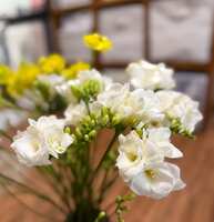 https://images.plurk.com/7DB4Na4K748jMxZ6HHX5d6.jpg