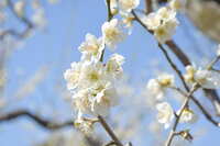 https://images.plurk.com/7DINRKdHTU5j7F3qcsRijF.jpg