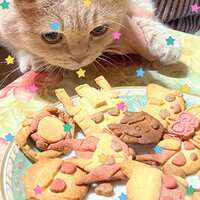 https://images.plurk.com/7DMpnhSrHFicKL9LA15daz.png