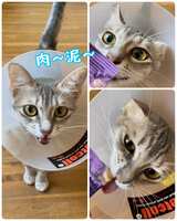 https://images.plurk.com/7DO5LtLxzuYqHZ9513n0Q8.jpg