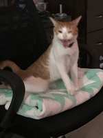 https://images.plurk.com/7DSPpeYblM2ByIjtX7OZEe.jpg