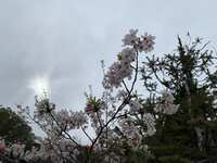 https://images.plurk.com/7DZKhpYAxzcgrxXHpdoot6.jpg