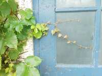 https://images.plurk.com/7Dd4Z5YF0yyh7YPZry2IQv.jpg