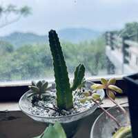 https://images.plurk.com/7DdBBNKtswGnDeoZl4nrDB.jpg