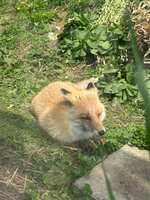 https://images.plurk.com/7DnZ16WI3kmfoGJ0GIWOyc.jpg