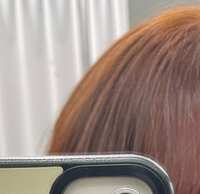 https://images.plurk.com/7DsgcQXlwTN6wAWIv6MaeY.jpg