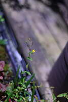 https://images.plurk.com/7DveVJTrtHDb8kLtcwONhg.jpg
