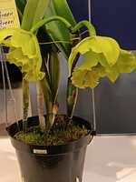 https://images.plurk.com/7Dzl7XYDXJJpJnK3yBtNPB.jpg