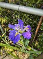 https://images.plurk.com/7E5gCpRp6e0WHPcW66ne5M.jpg