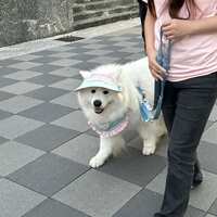 https://images.plurk.com/7E8ufT9AaUxXLuE8COV4nc.jpg