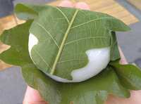 https://images.plurk.com/7EBuGNXnDLdGoYS9NfivEq.jpg