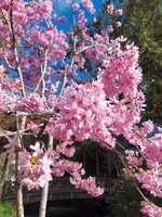 https://images.plurk.com/7EENCMeKSfywRERPKmiwNx.jpg