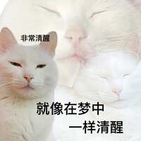 https://images.plurk.com/7EJiVM6PmTXymidn71nsmL.jpg
