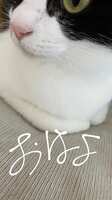 https://images.plurk.com/7EQ6Q6q9i0F2HMadbaMt5t.png