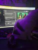 https://images.plurk.com/7EnKKcdYDBbNb0atNTRe1Z.jpg