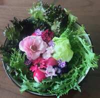 https://images.plurk.com/7EsPTxus3pC67TCBcvmko8.jpg