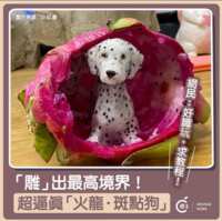 https://images.plurk.com/7EstJf2mBfXCl0VzpToWCJ.png