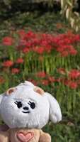 https://images.plurk.com/7EvGn7uRC7DAIy3uOaGgDE.png